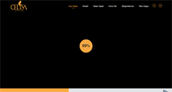 Desktop Screenshot of celisa.com.tr